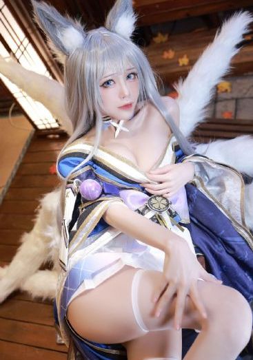 狗狗博客
